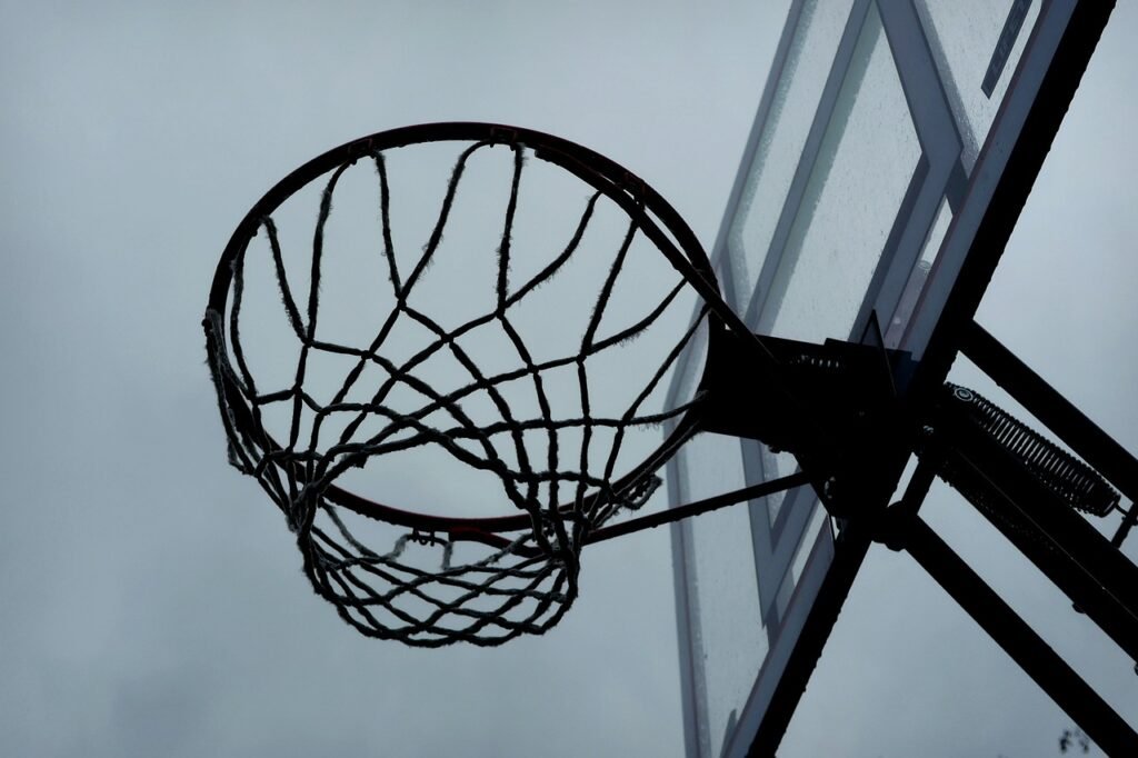 Basketball net